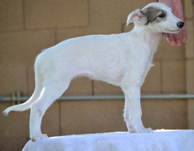 Photo of Aeracura Dare to Hope