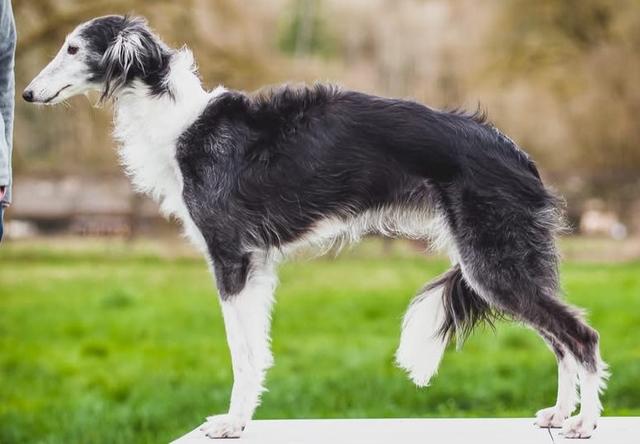 Photo of Aeracura Head Over Heels