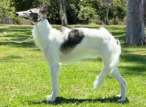 Photo of Aeracura OFF with Their Heads