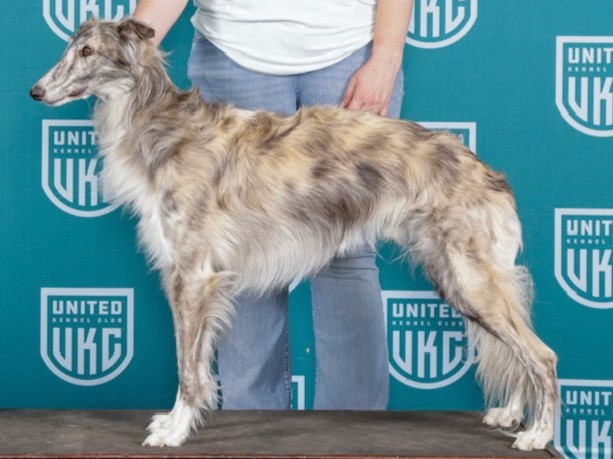 Photo of Aeracura The Hunter