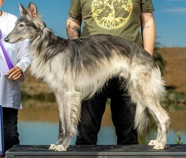 Photo of Aeracura We're All Mad Here