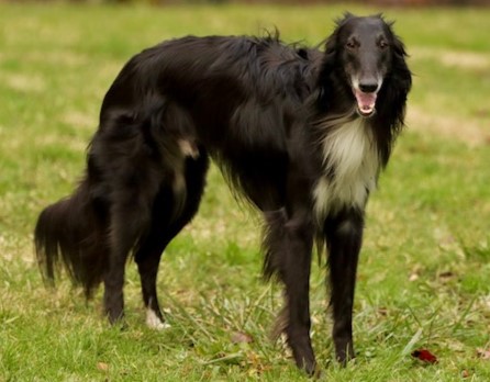 Photo of Aeracura Who Are You?