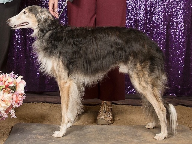 Photo of Aeracuras Stormageddon