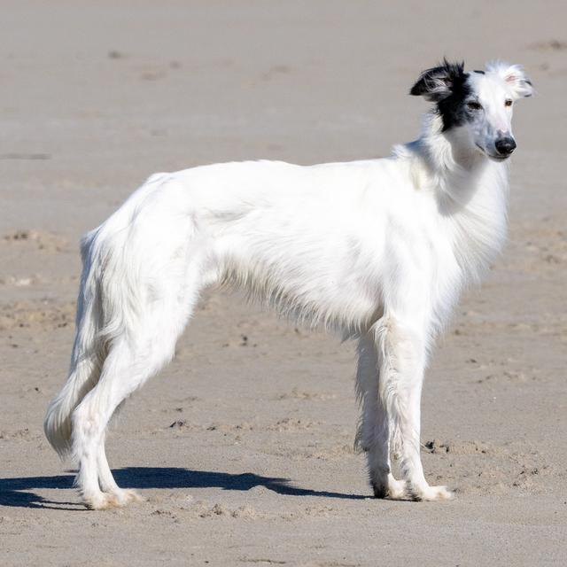 Photo of Allagante Bespoke Bond Street