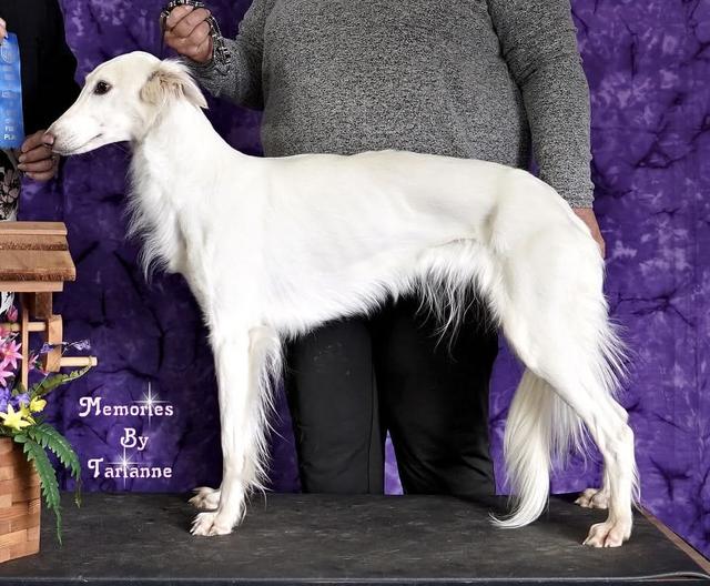 Photo of Allagante Beyond Compare