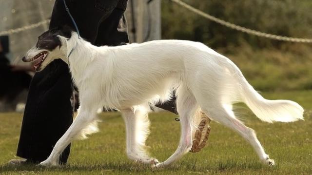 Photo of Allagante Bold and Beautiful