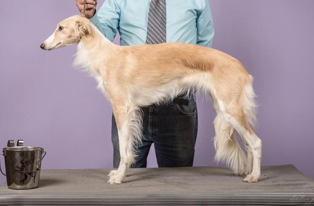 Photo of Allagante Bourbon Street