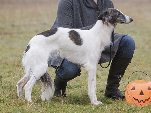 Photo of Allagante Cartier Diamond