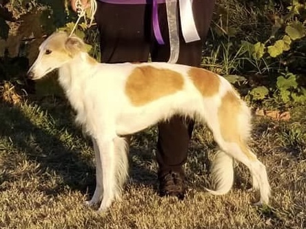 Photo of Allagante Cygnus Rumer Glenn