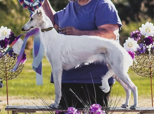 Photo of Allagante Fast and Flawless