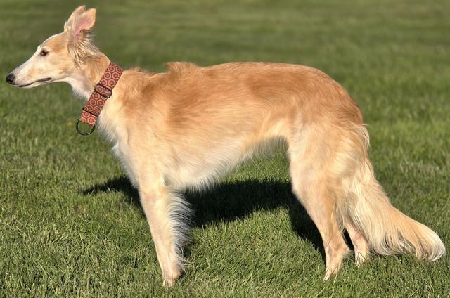 Photo of Allagante Fireside Vanilla