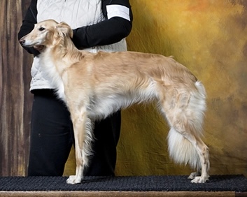 Photo of Allagante Gold Krugerrand