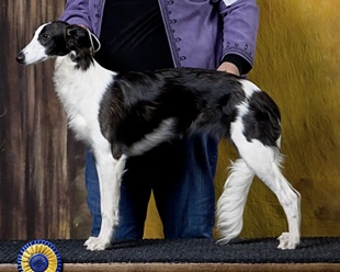 Photo of Allagante High Flyer of Myth