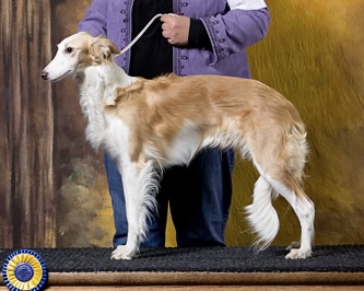 Photo of Allagante Light Up the Sky