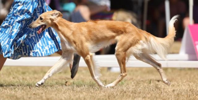 Photo of Allagante Love of My Life