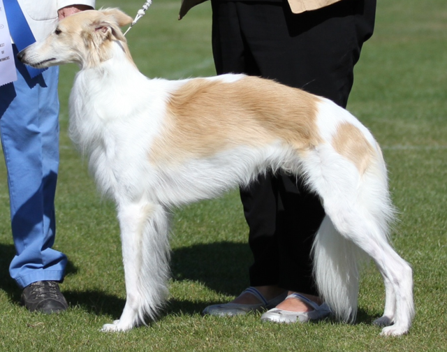 Photo of Allagante Mohegan Sun