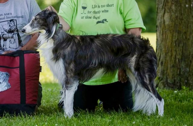 Photo of Allagante Perfect Isn't Easy