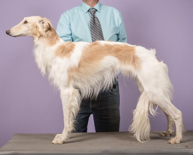 Photo of Allagante Wall Street