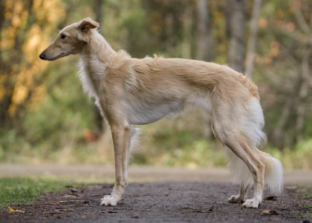 Photo of Amethyst Edgedancer