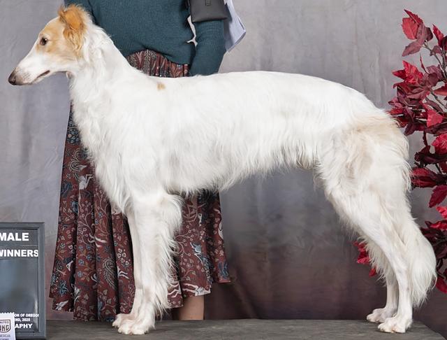 Photo of Amethyst Rhythm of War