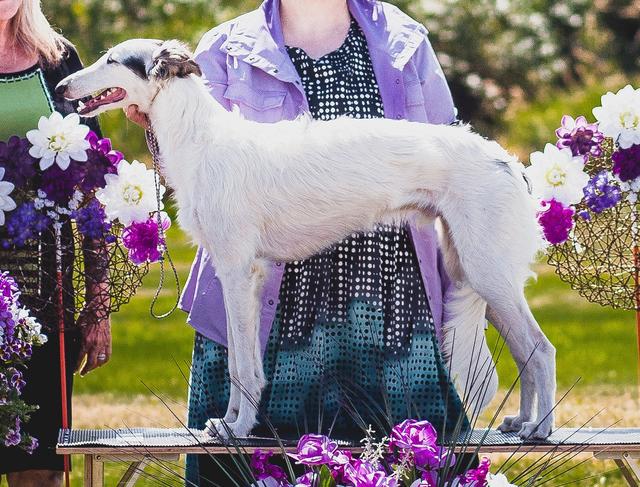 Photo of Amethyst The Way of Kings