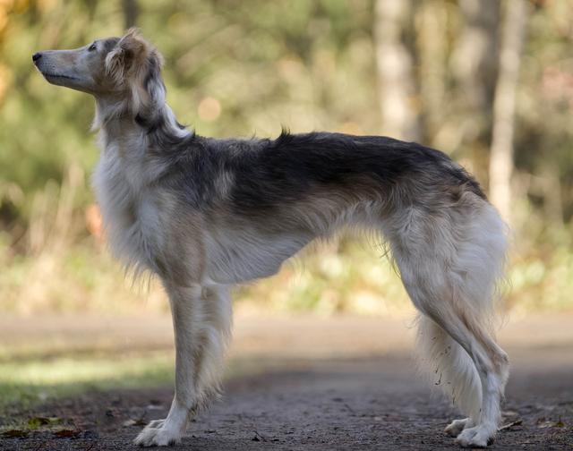 Photo of Amethyst Vignette