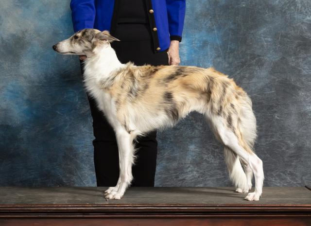 Photo of Attaway-Entourage Endless Love