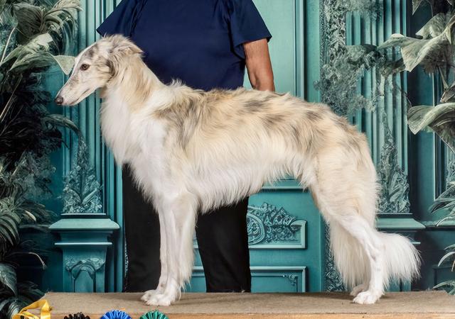 Photo of Attaway's Boogie Nights