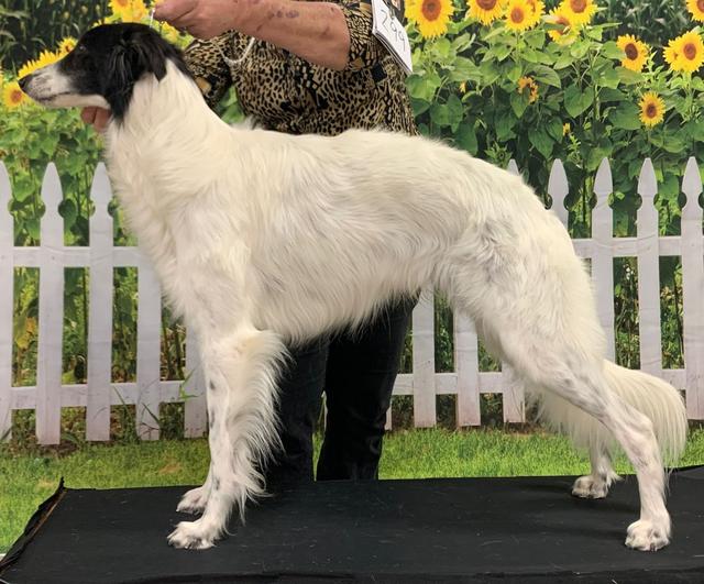 Photo of Avalon Beyond The Horizon