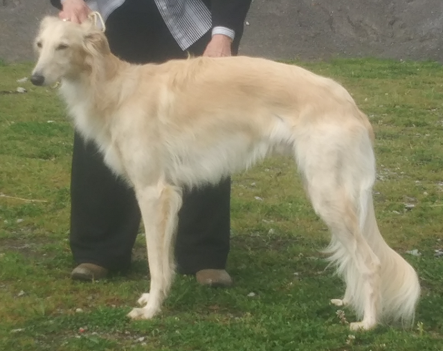 Photo of Avalon Firenze