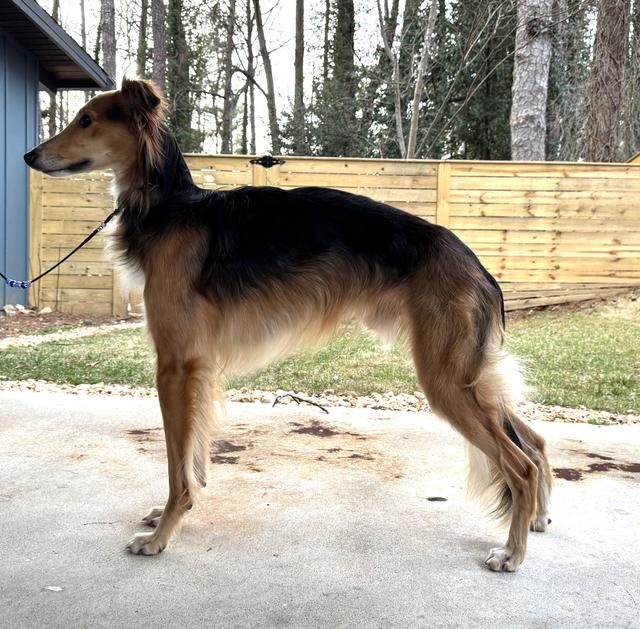 Photo of Avalon Justice League