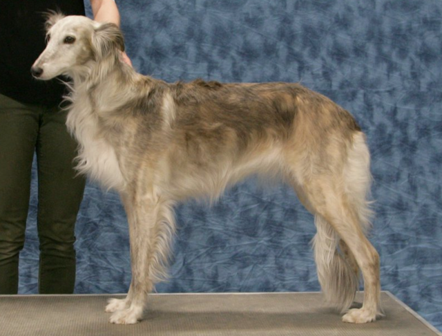 Photo of Avalon Vera Cruz