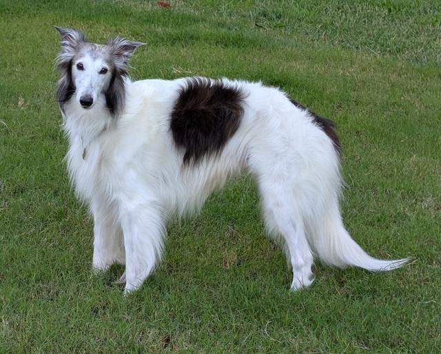 Photo of Back To The Future From Spirit