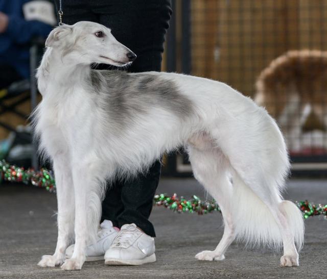 Photo of Broadway Maybe They're Magic