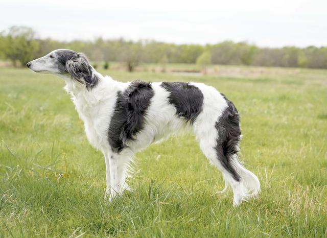 Photo of Broadway Spirited Away