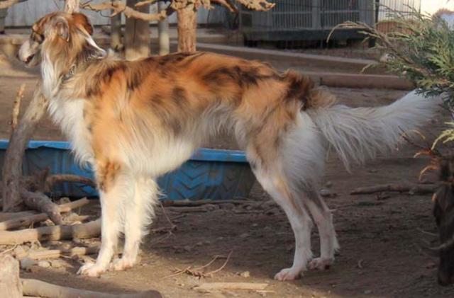 Photo of Broadway's King of New York