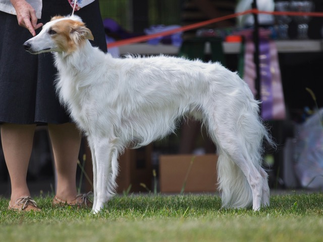 Photo of Broadway's Once and For All