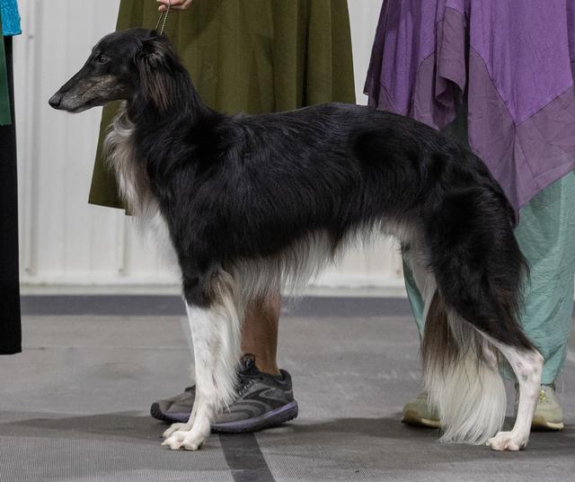 Photo of CSB Agent 007