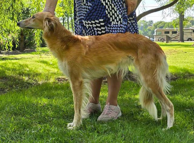 Photo of CSB Agent Angel of Death