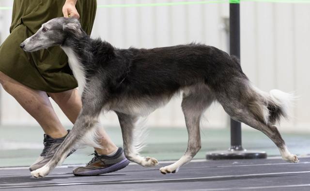 Photo of CSB Agent Bell Rocket Belt