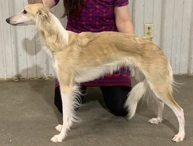 Photo of CSB Agent Bonita @ Regalant