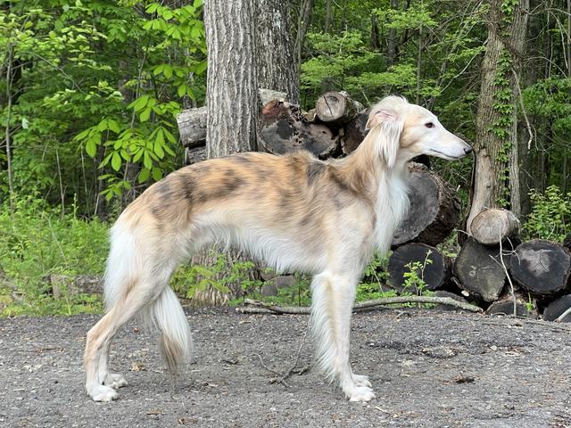 Photo of CSB Agent Felix Leiter