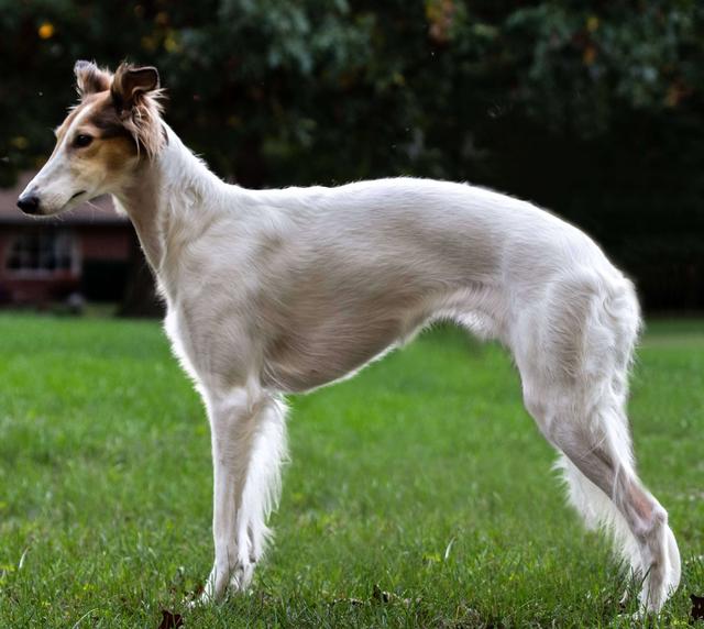 Photo of CSB Agent Helga Brandt #11