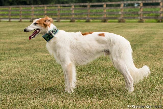 Photo of CSB Agent Marc-Ange Draco