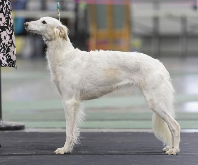 Photo of CSB Multiverse Traveler@Spirit