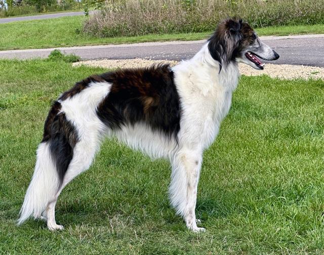 Photo of Clayborn Flight of Bumblebee