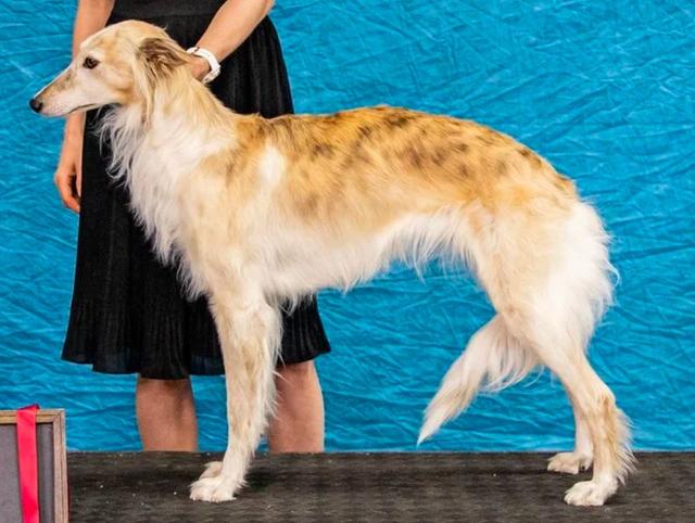 Photo of Clayborn Sunera Almond Roca