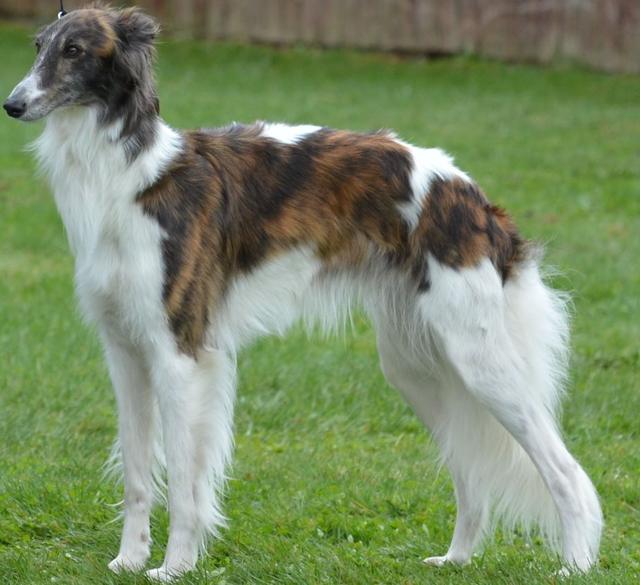 Photo of Clayborn's Aruba