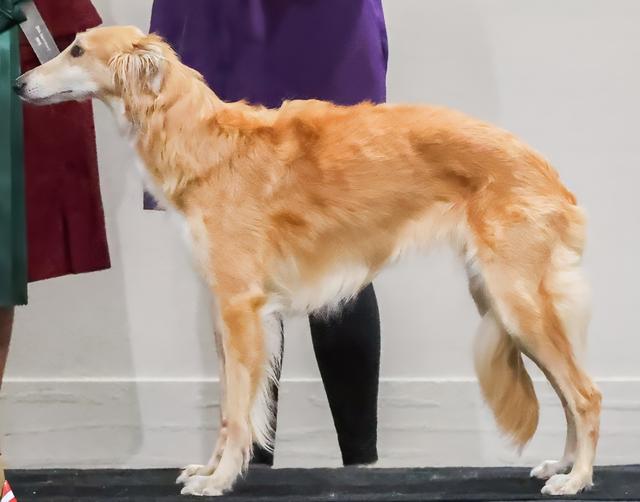 Photo of Clayborn's Belle Starr