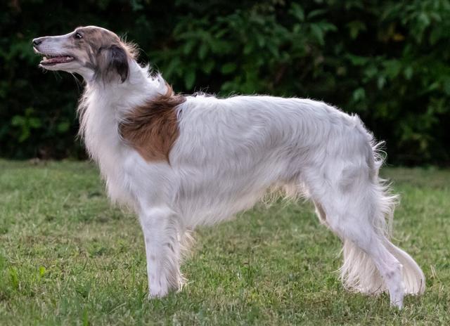 Photo of Clayborn's Boing!